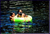 Plonsen - nr. 0085